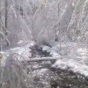 Meet your Posher, Jodi